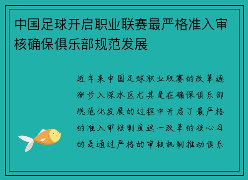 中国足球开启职业联赛最严格准入审核确保俱乐部规范发展 中国足球开启职业联赛最严格准入审核确保俱乐部规范发展