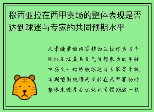 穆西亚拉在西甲赛场的整体表现是否达到球迷与专家的共同预期水平 穆西亚拉在西甲赛场的整体表现是否达到球迷与专家的共同预期水平